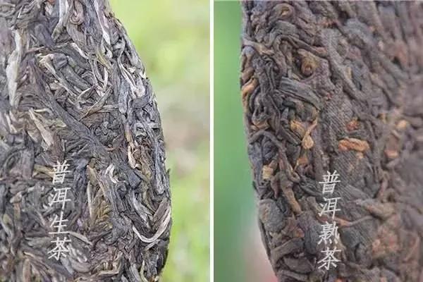 '想减肥喝普洱生茶好还是熟茶好？'