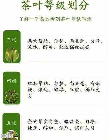 普洱茶生茶等级标准是什么