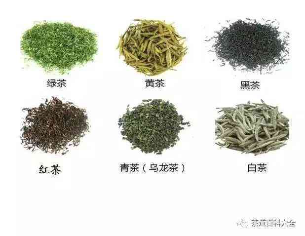 普洱茶：属于青茶类还是其他类别？探讨其茶叶种类和特点