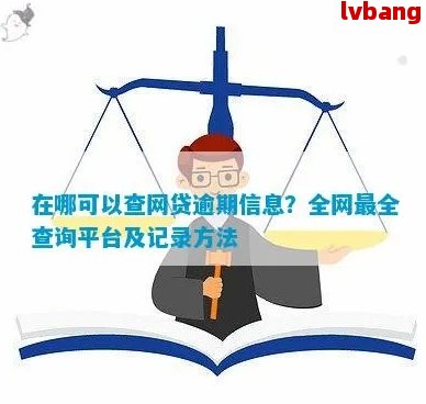 如何在网贷平台更换账户后查看还款记录？解答所有相关问题