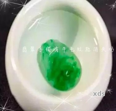 翡翠晶体纹与牛毛纹：全面比较与选择，了解两者特点及优劣