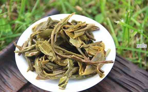 普洱茶的制作原料和选用茶叶：哪些茶叶适合普洱茶的制作？