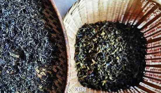 普洱茶的制作原料和选用茶叶：哪些茶叶适合普洱茶的制作？