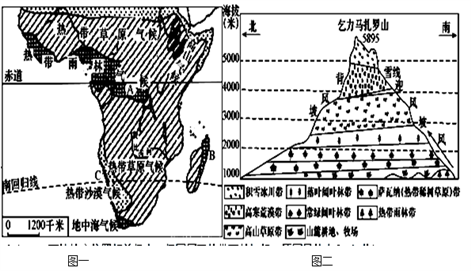 龙石产地种类及分布情况，如何辨别真伪？