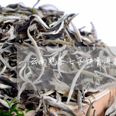 云南七子饼普洱茶熟茶特点