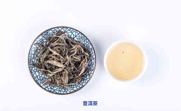 古树白茶是白茶还是普洱茶好？请分享您的意见。