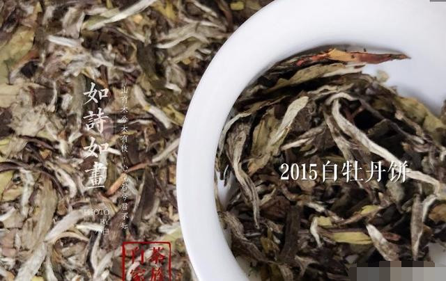 古树白茶与老白茶：区别、特点及品鉴方法一文详解