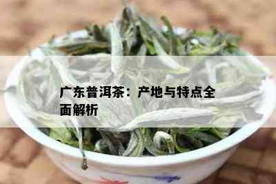 广东普洱茶排行榜前十名及产地特点：最新最全指南