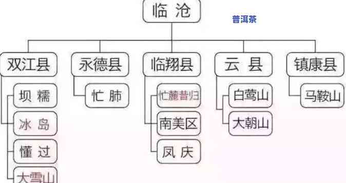 广东普洱茶的地理分布与独特风味分析