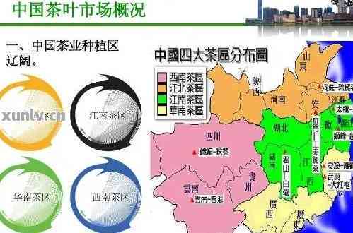 广东普洱茶场地址电话及交易信息全解析