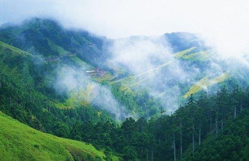 满山遍野：自然之美与人类活动的影响