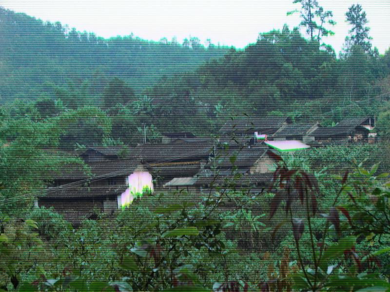 荒田和小荒田普洱茶的区别：特色与特性解析