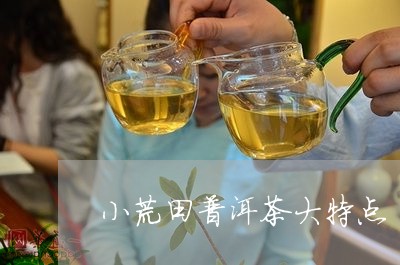 小荒田普洱茶特点详解：品种、工艺、口感、功效全方位解析