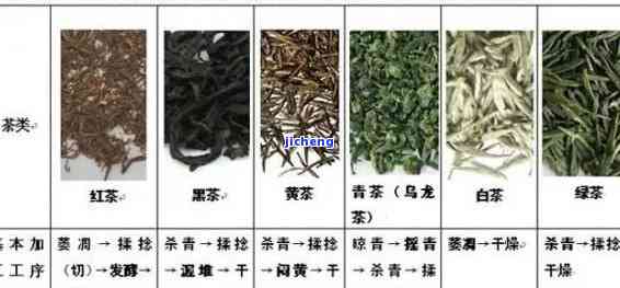 小荒田：哪个茶区的瑰宝？