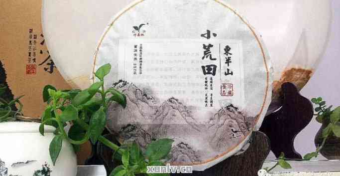 荒田和小荒田普洱茶的区别