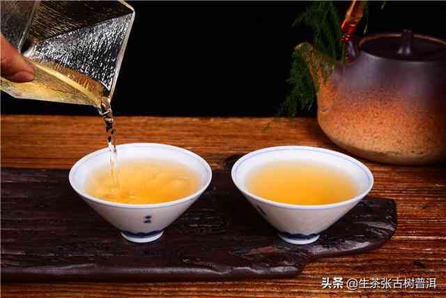 掌握正确方法，用开水打造完美的饼状普洱茶冲泡体验