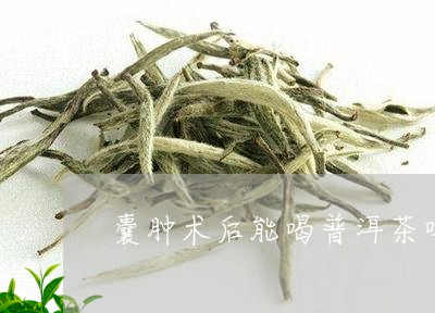 皮肤囊肿能喝普洱茶吗女生