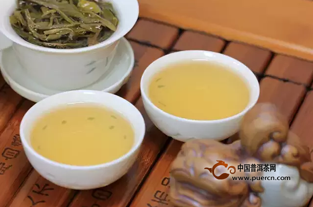 新普洱茶生茶的泡法与注意事项，如何直接饮用？