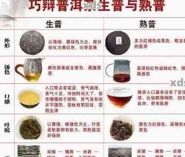 普洱茶与普通茶的区别：独特品质与陈化过程