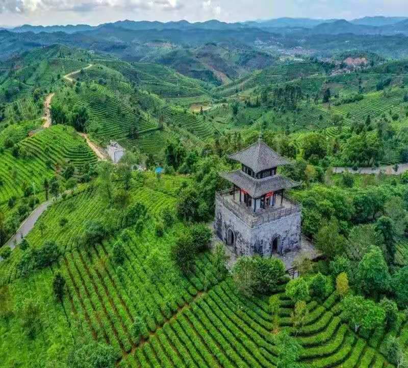 海喝普洱茶的地方推荐：优质环境等你来体验