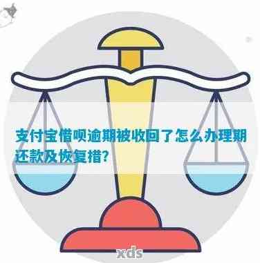 借呗逾期款项提前收回怎么办？被收回后如何处理？