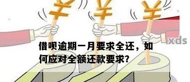 借款人违约，借呗迅速收回全额资金：原因与影响