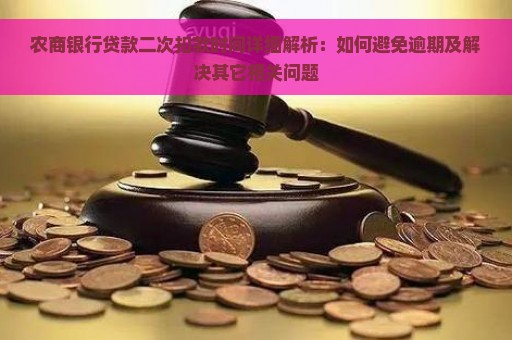 关于集资款：是否有第二次还款安排及其相关规定