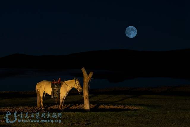 月光之下：遍地的神秘与浪漫