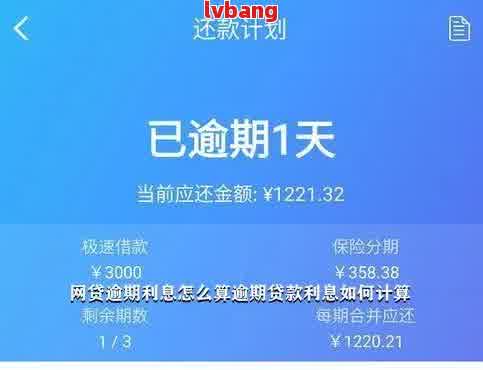 网贷七万逾期半年利息多少：逾期后需还款总额与逾期利息解析