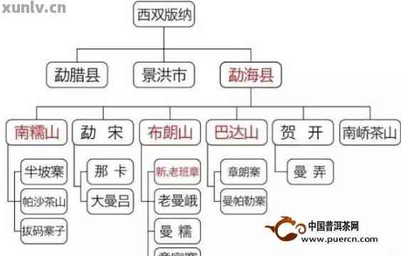 广东产普洱茶的相关信息与品质特点全面解析