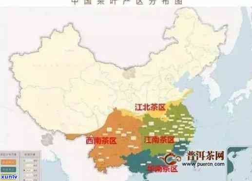 广东什么地方做普洱茶最多