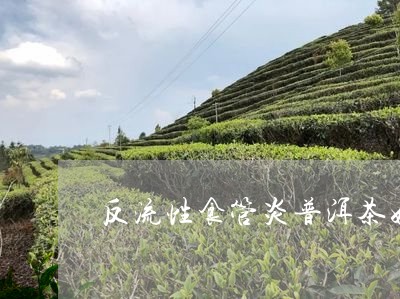 喝普洱茶对反流性食管炎的益处：专家建议与注意事项