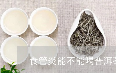 喝普洱茶对反流性食管炎的益处：专家建议与注意事项