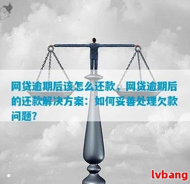 网贷逾期还款后被限制借款，如何解决？了解解决方案和应对措！