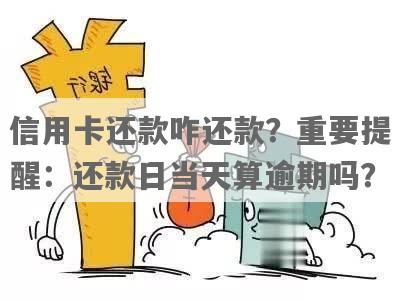 还款日当天未收到提醒，是否算作逾期还款？如何避免逾期还款？