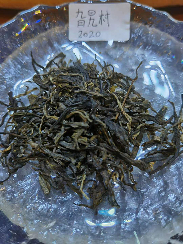 野生普洱茶的独特魅力：为何其味道如此醇厚并带有异香？