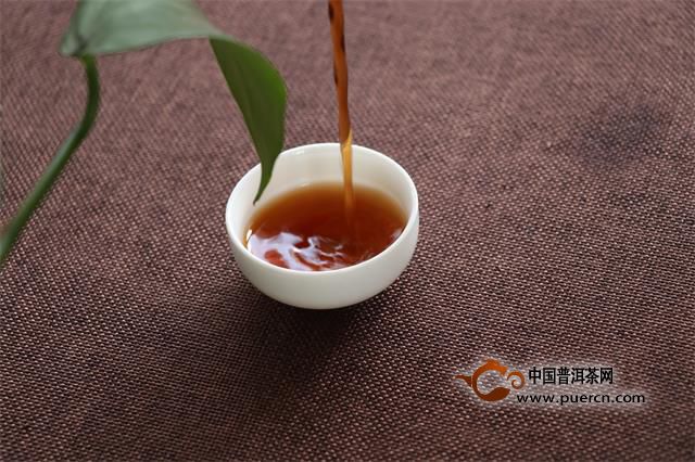 普洱茶的基本问题包括什么