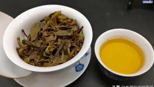 50元以下的优质普洱茶推荐及选购指南：了解价格与品质的关系