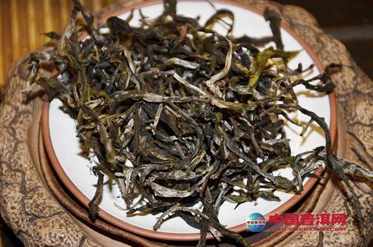 普洱茶秋茶上市时间：秋普洱茶的佳品