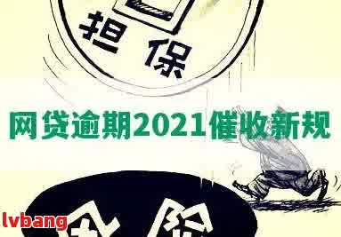 2021网贷逾期的有多少