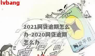 2021网贷逾期的有多少