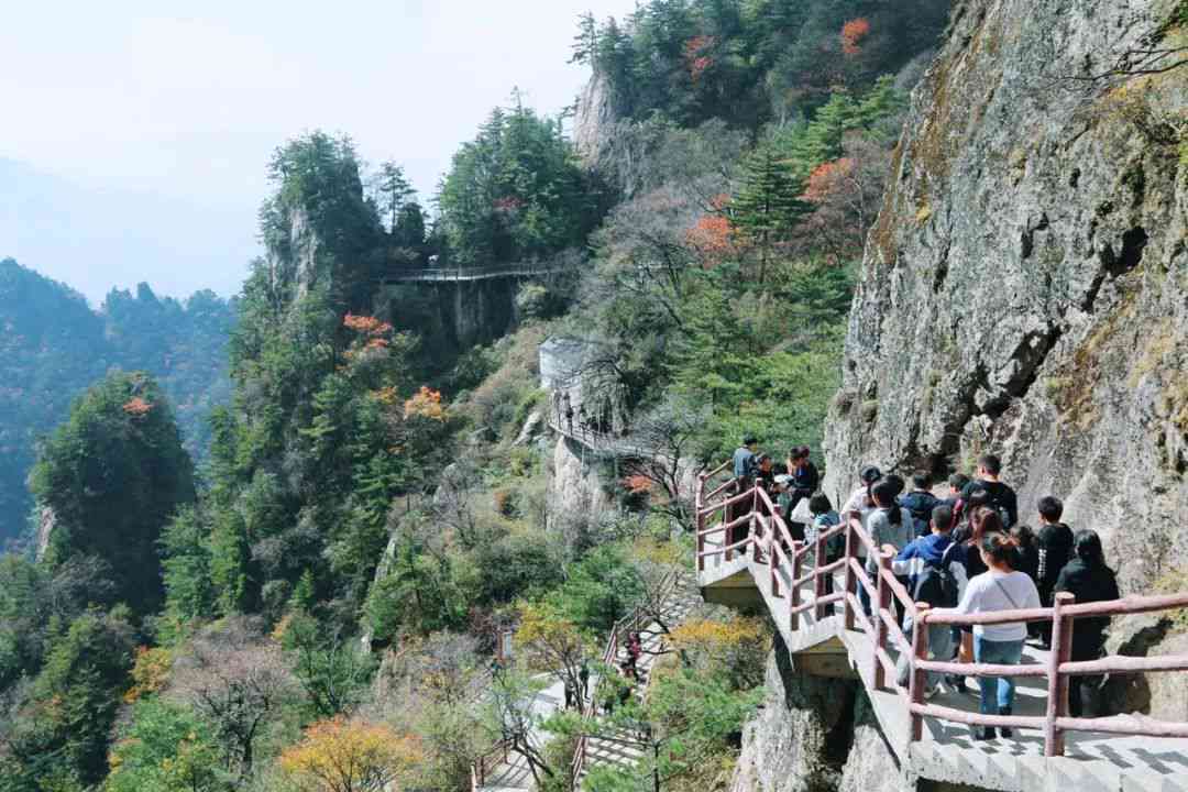 洛阳市洛河景区观赏奇异石头的地点推荐