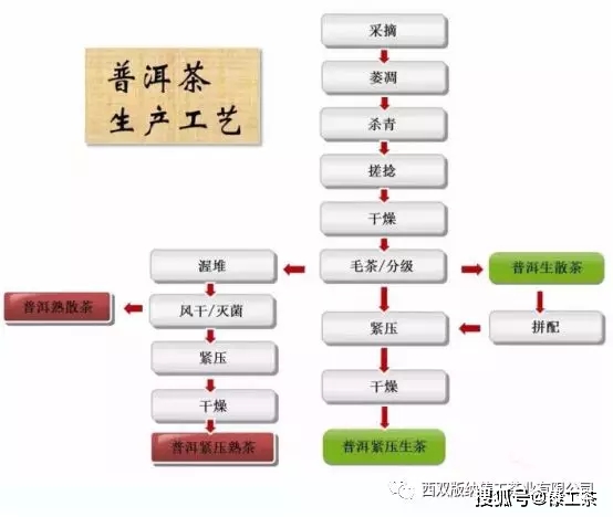 普洱茶紧压茶加工工艺流程