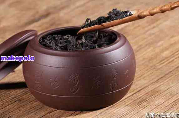 普洱茶存茶器的选择与比较：不同款式的特点和用途分析