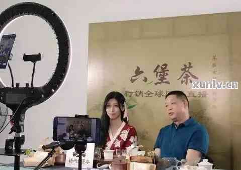 探究普洱茶直播魅力：全新玩法与深度解析