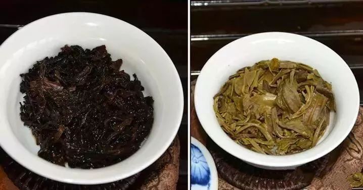 普洱茶与抹茶：对比研究，哪个更有效减脂？