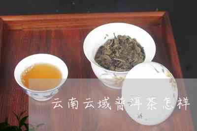 普洱茶和抹茶：对比研究，揭示哪个更有效地帮助减脂，同时保持美味口感