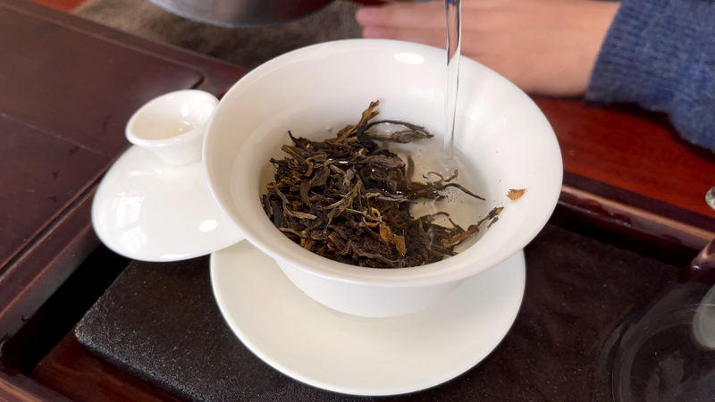 煮普洱茶时怎么洗茶的叶子