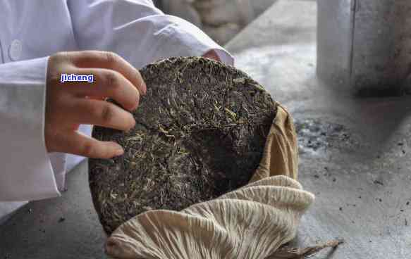 普洱茶饼怎么制作：掌握4个步骤，轻松做出好喝的普洱茶饼