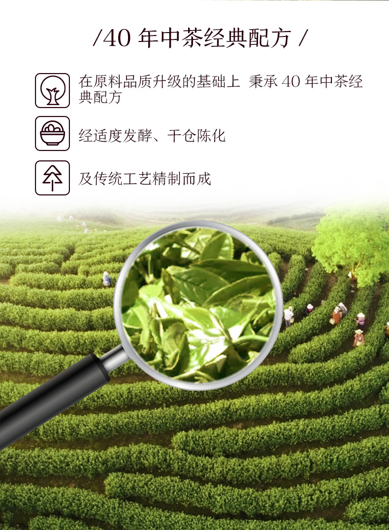 中茶经典7541:一款值得品味的茶叶体验，带你领略中国茶文化的独特魅力